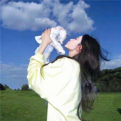 九彩霸王花粤语