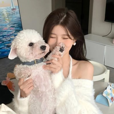 养狗与猫每天都很开心